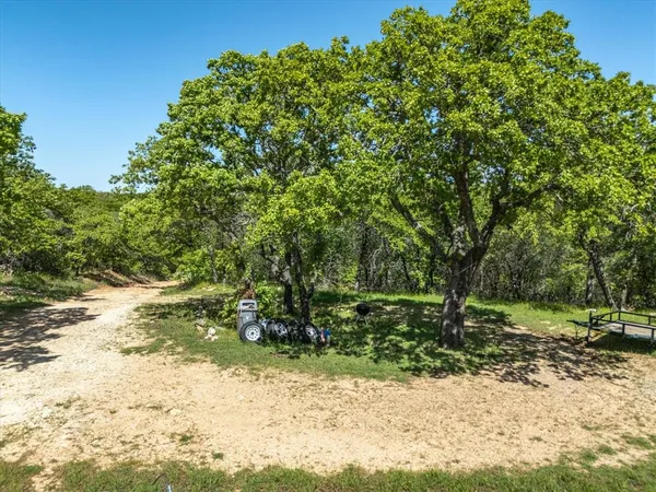a backyard of a house with a tree