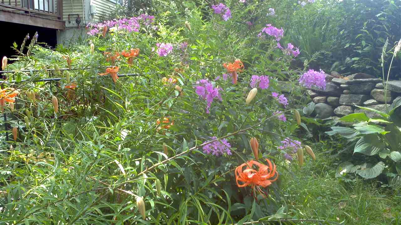 322 South Main Street Chester, VT 05143 - Photo 23 of 25 Gallery Image 23