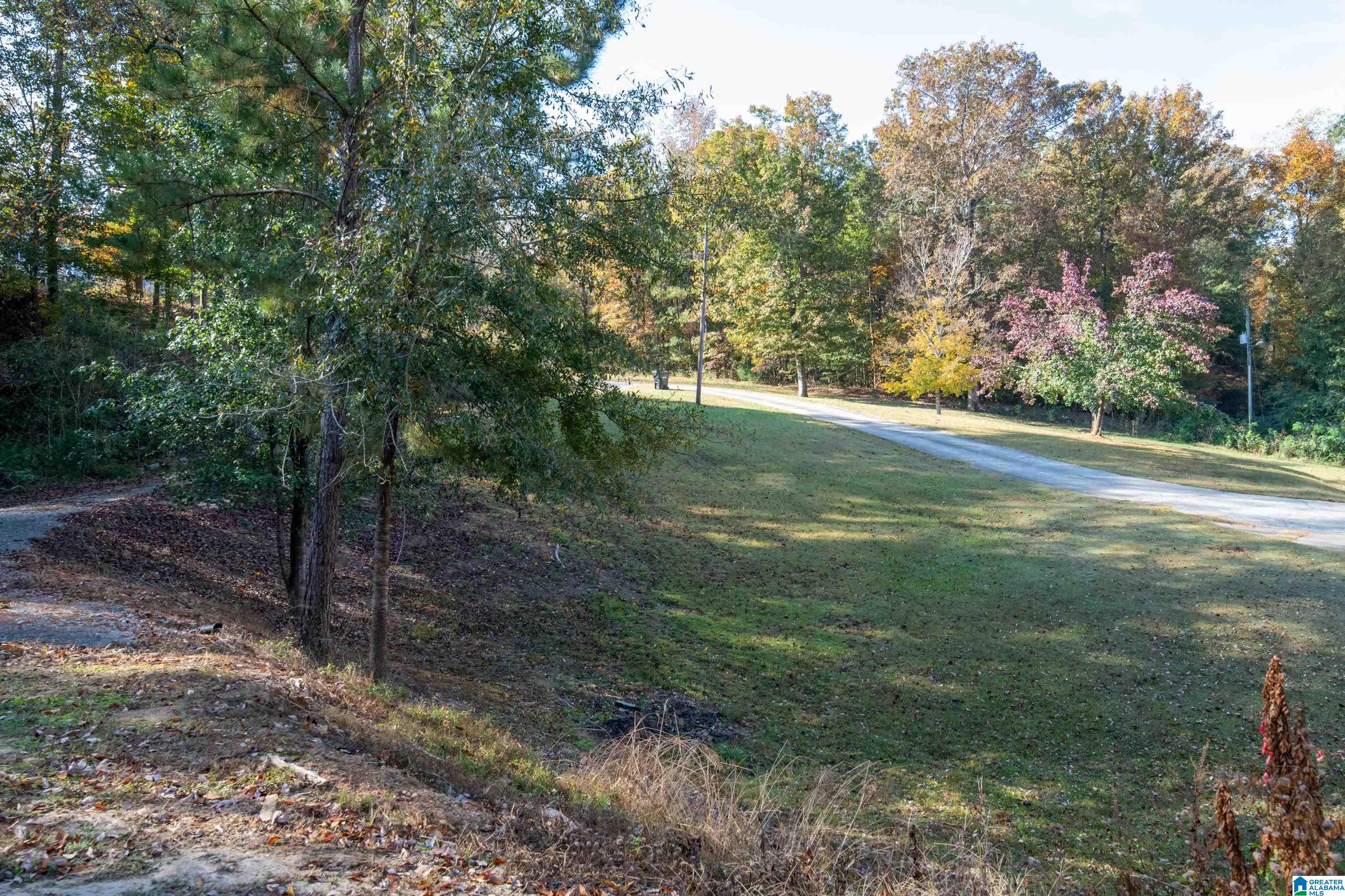 139 Higdon Creek Road Adger, AL 35006 - Photo 5 of 73