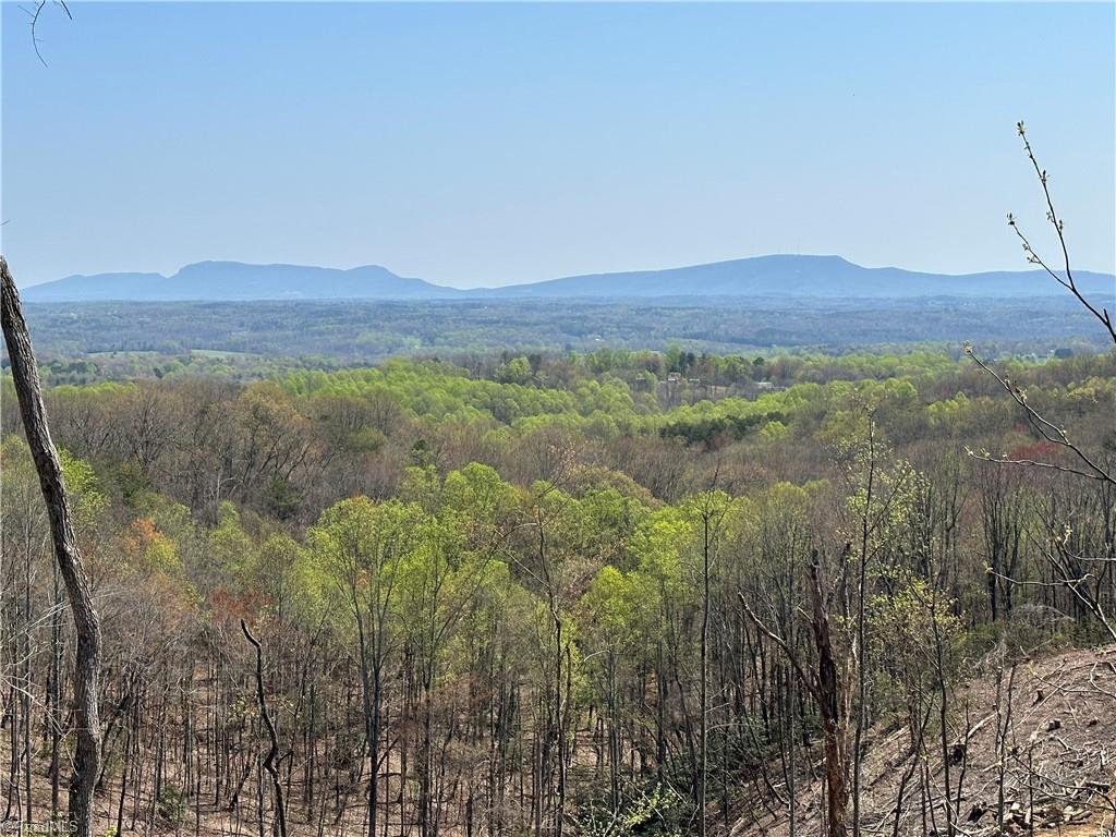 5 Howell Road Pilot Mountain, NC 27041 - Photo 1 of 24 Gallery Image 1
