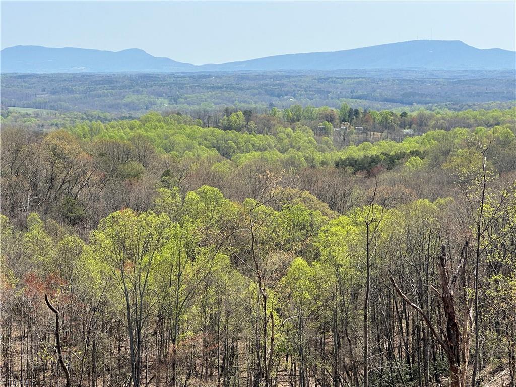 5 Howell Road Pilot Mountain, NC 27041 - Photo 13 of 24 Gallery Image 13