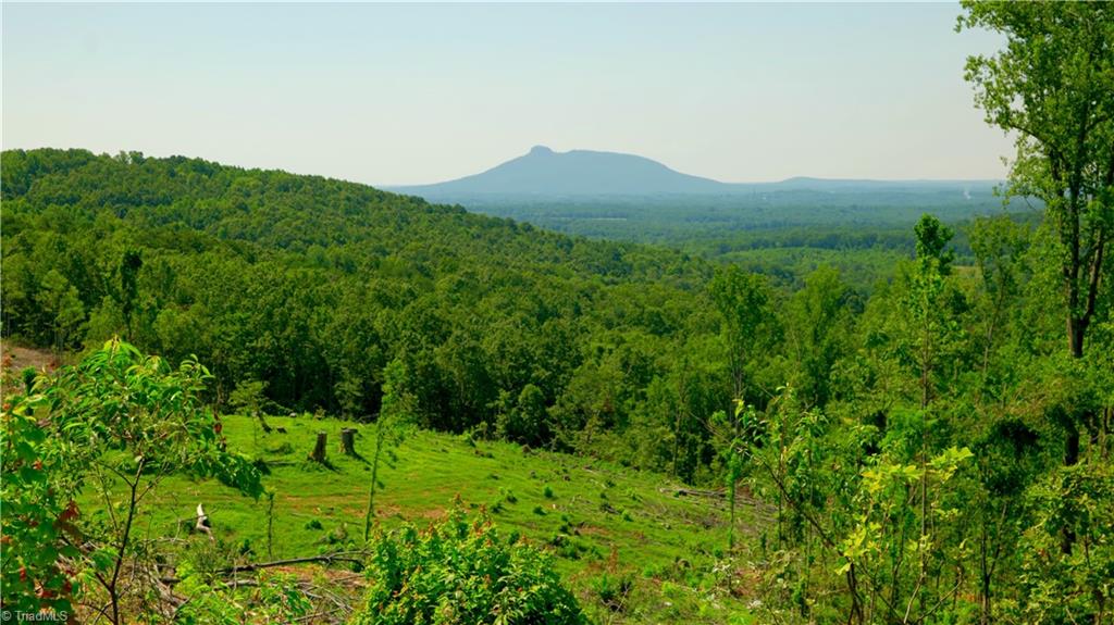 5 Howell Road Pilot Mountain, NC 27041 - Photo 2 of 24 Gallery Image 2