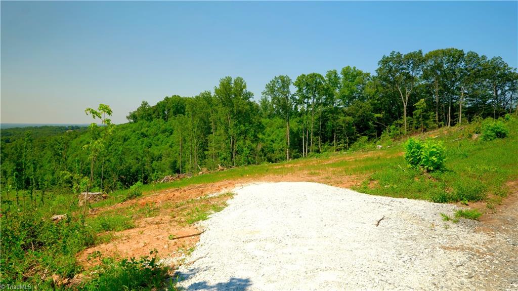 5 Howell Road Pilot Mountain, NC 27041 - Photo 7 of 24 Gallery Image 7