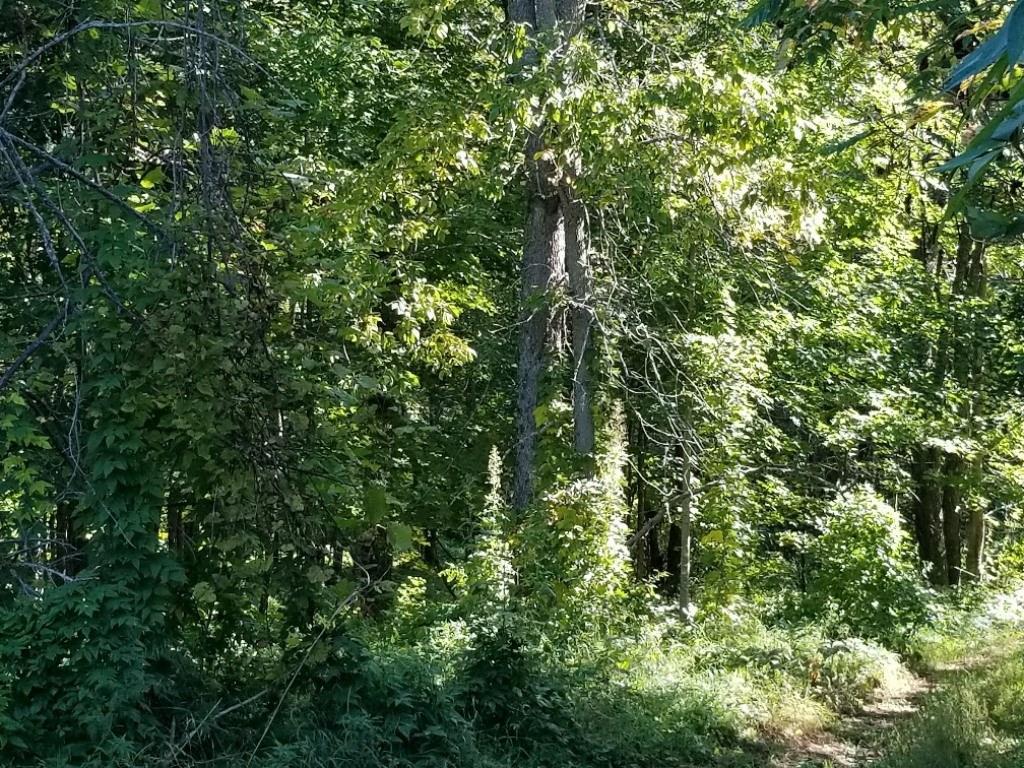 M4-l76 Flagg Road New Sharon, ME 04955 - Photo 14 of 27 Photo