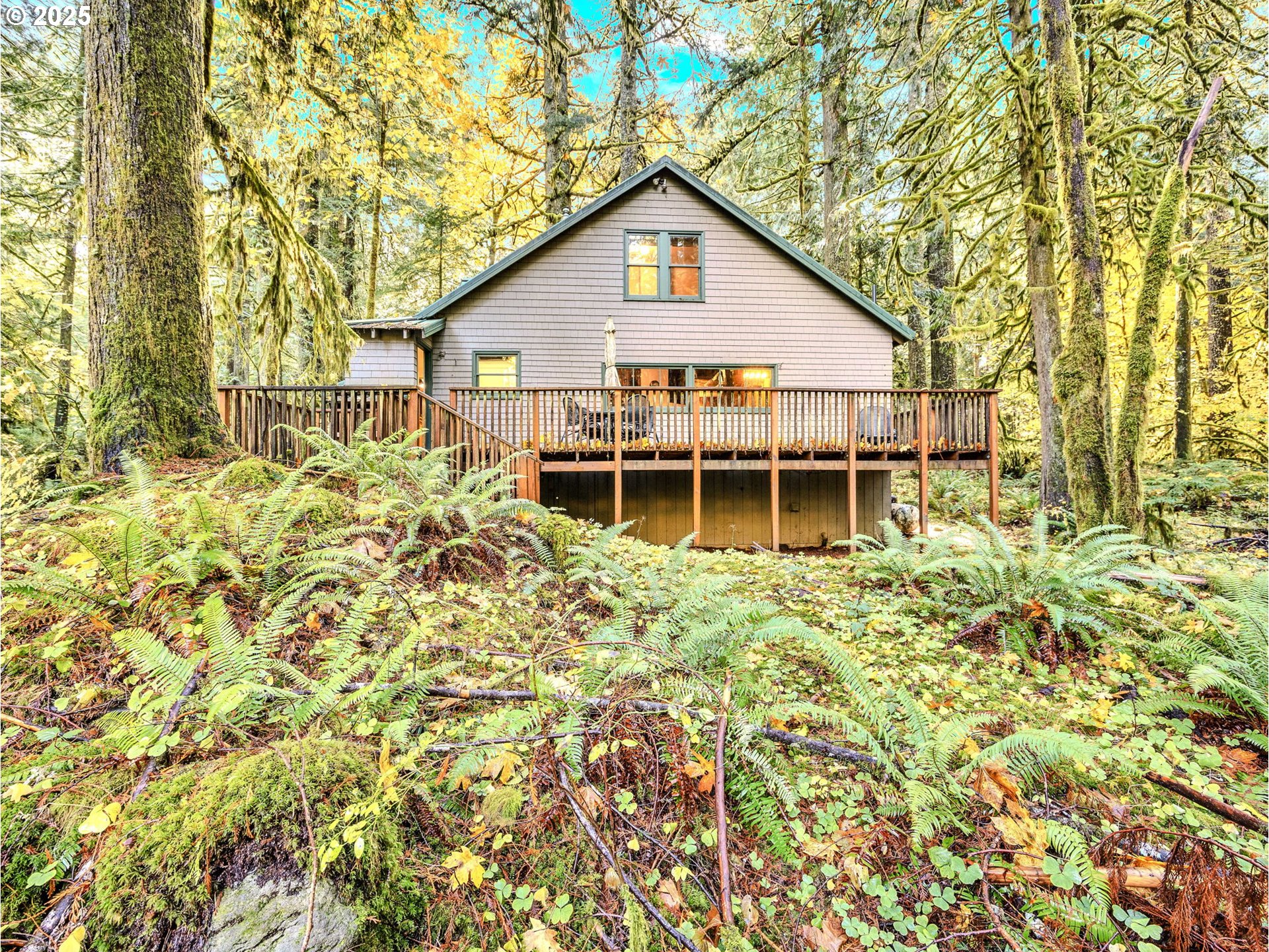 26986 Still Creek Road Rhododendron, OR 97049 - Photo 41 of 47 Gallery Image 41