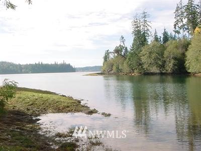 4 F Robbins Road Grapeview, WA 98546 - Photo 1 of 1 Gallery Image 1