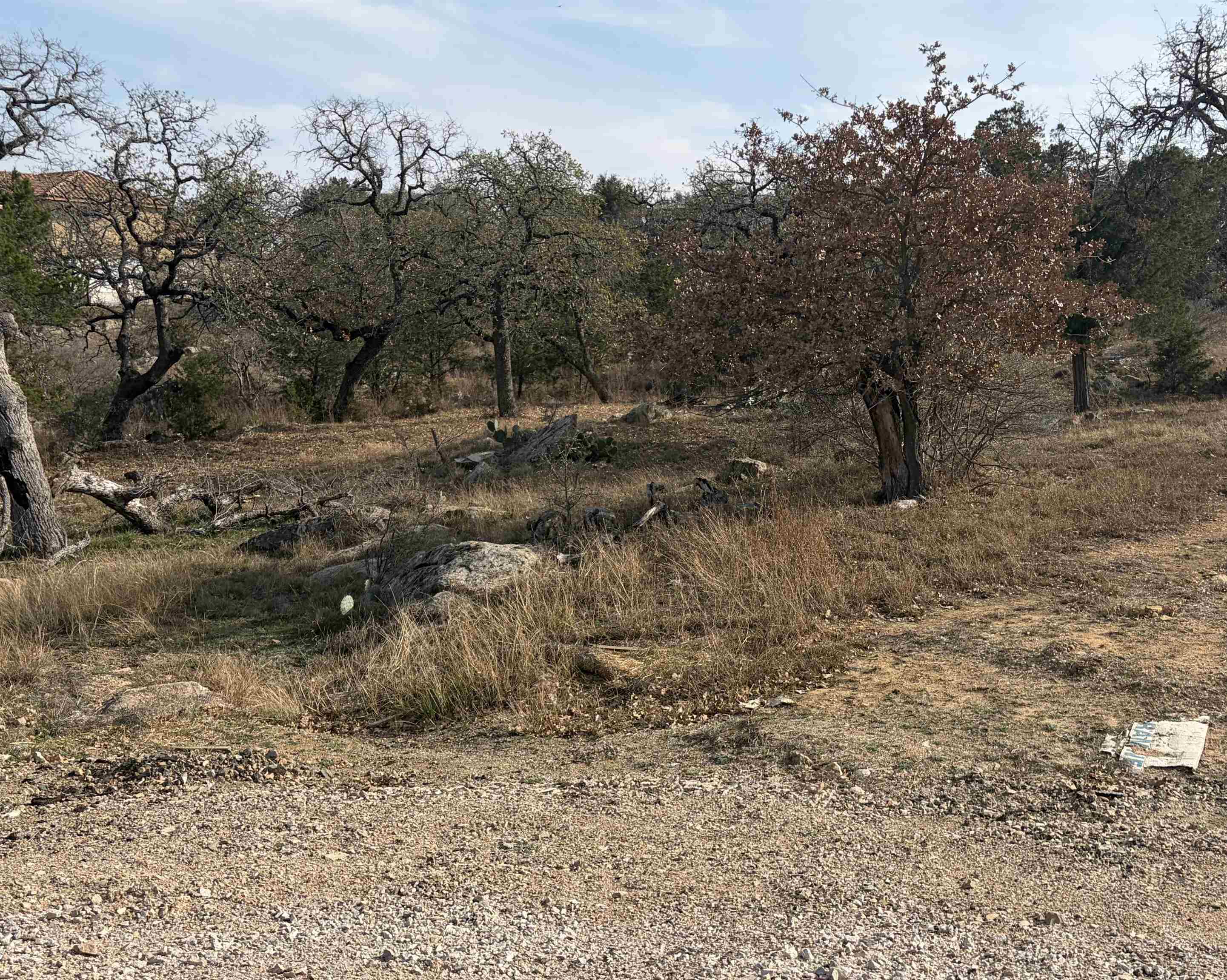 W4027 Swear Injun Circle Horseshoe Bay, TX 78657 - Photo 1 of 2 a view of a dry yard with trees