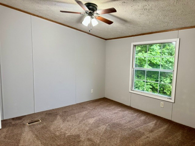 385 Vengeance Creek Road Marble, NC 28905 - Photo 15 of 19