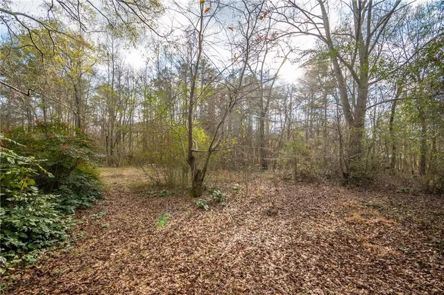 a backyard of a house with plants and large tree