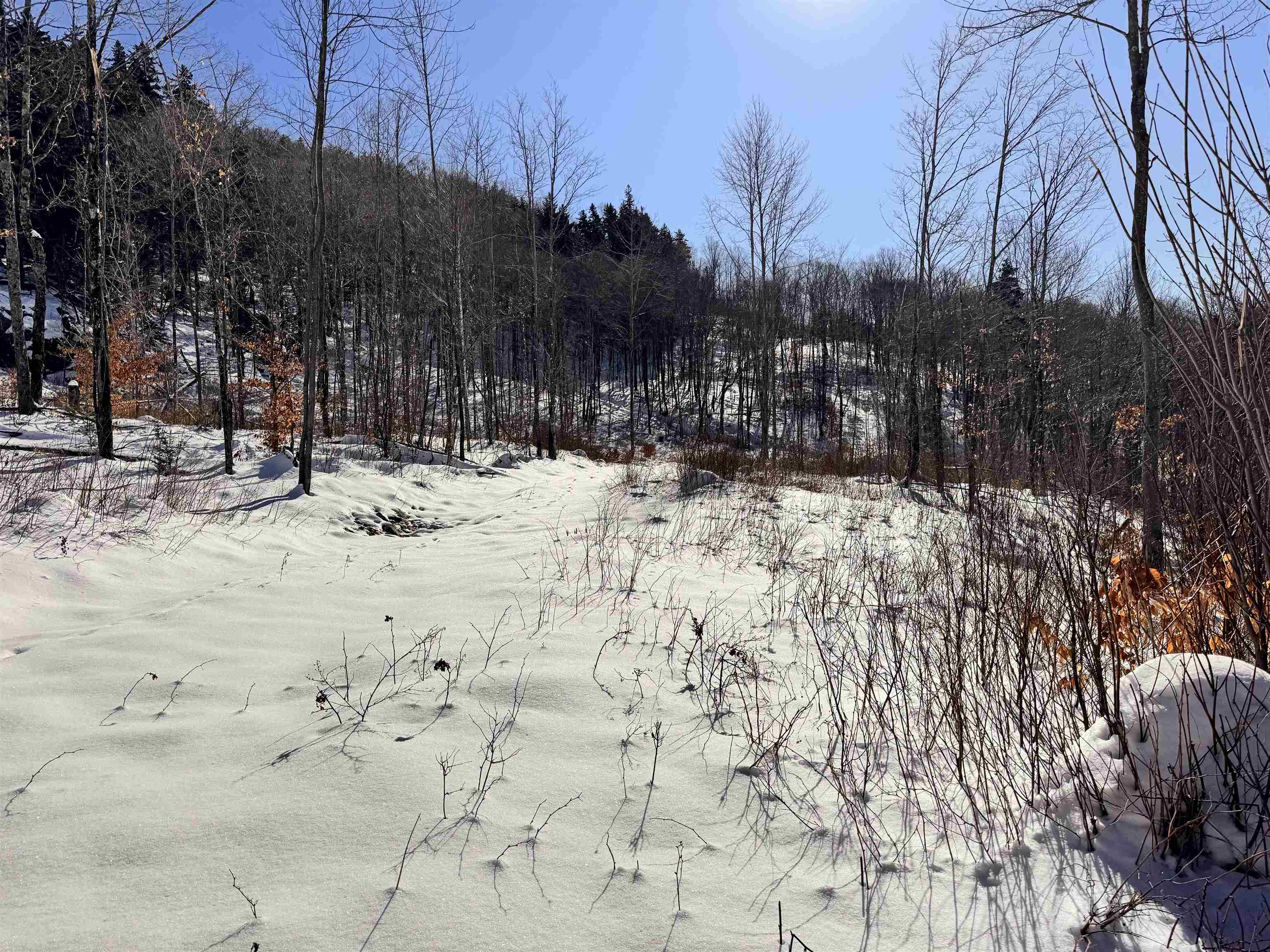 0 Smutty Hollow Road Monroe, NH 03771 - Photo 27 of 27