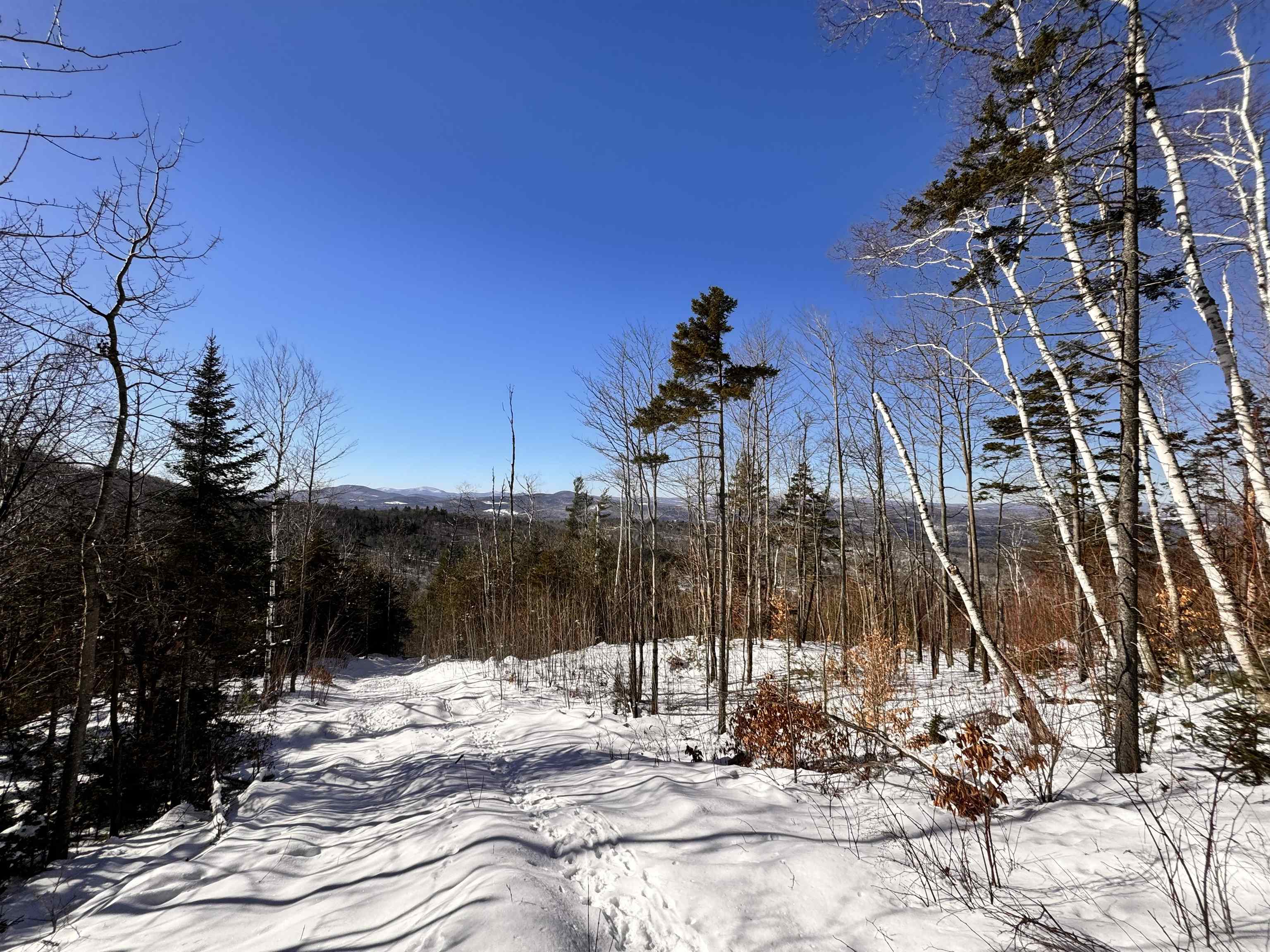0 Smutty Hollow Road Monroe, NH 03771 - Photo 3 of 27
