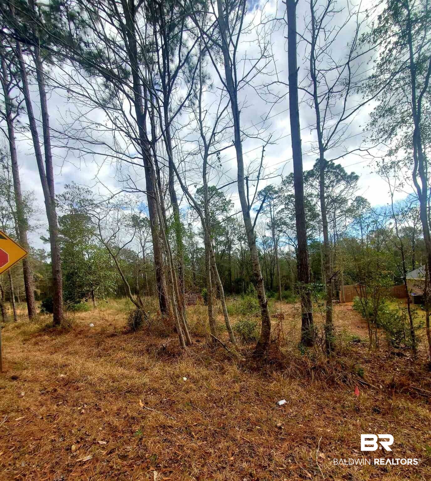 0 Jenkins Farm Road Loxley, AL 36551 - Photo 3 of 3