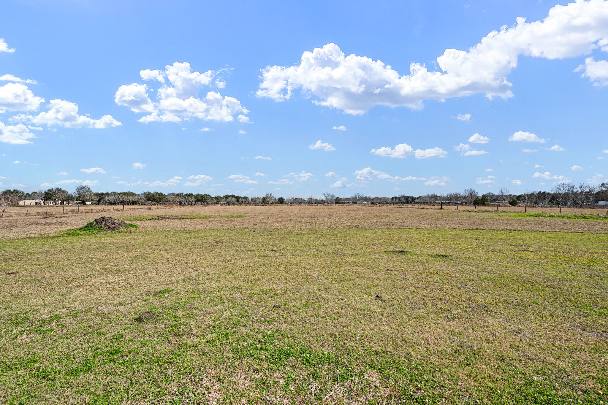8131 Brinkmeyer Road Needville, TX 77461 - Photo 31 of 34 Expansive acreage provides flexibility for future improvements, an additional home or commercial use.
