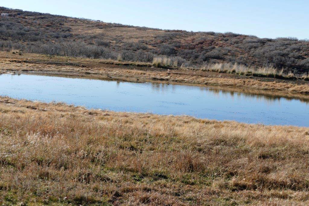Tbd Tbd 90th Road Montrose, CO 81403 - Photo 5 of 13 _1070278