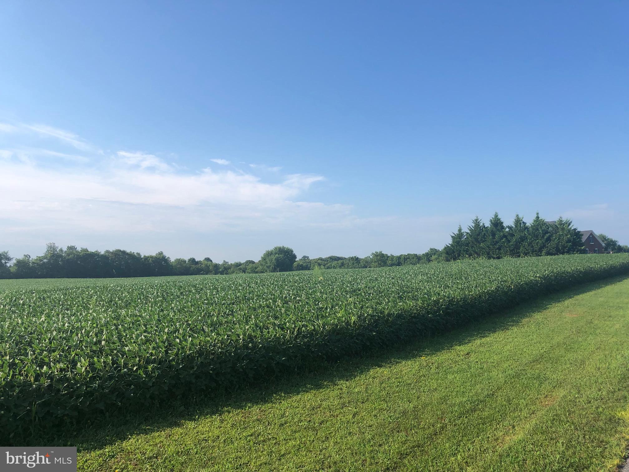5631 South Renn Road Frederick, MD 21703 - Photo 5 of 9 a view of a green field with clear sky