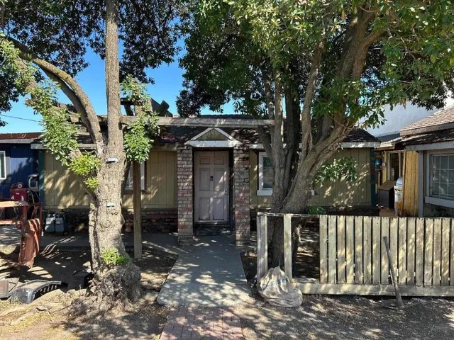 a front view of a house with a tree
