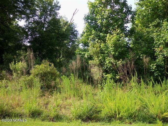 2 Holly Hill Road Hampstead, NC 28443 - Photo 1 of 1 Road Frontage