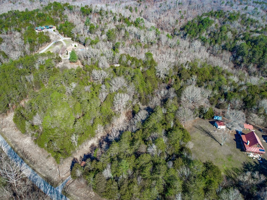406 Clearwood Road Newport, TN 37821 - Photo 31 of 33 Gallery Image 31