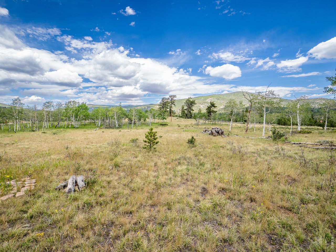 22 Tami Road Red Feather Lakes, CO 80545 - Photo 9 of 33 Large level lot, bordered by private greenbelt.