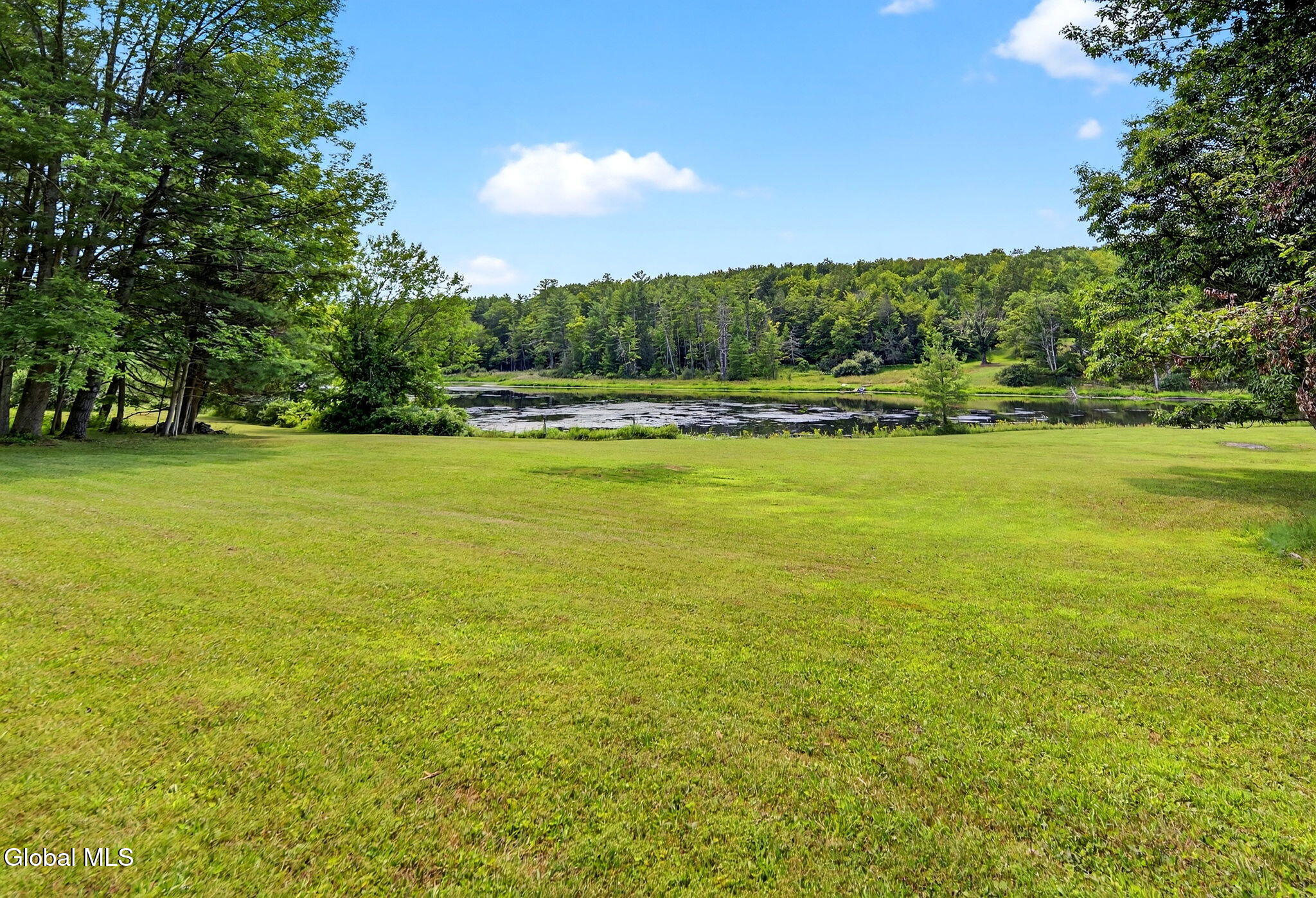 131 Dederich Road Durham, NY 12423 - Photo 47 of 55 Exterior 14