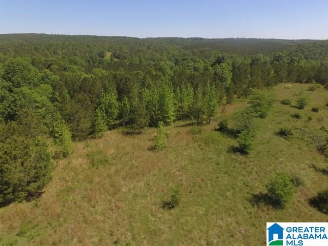 82-acres Creed Road, Unit 82 ACRES Lineville, AL 36266 - Photo 4 of 20