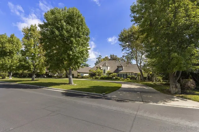 a view of a park with large trees