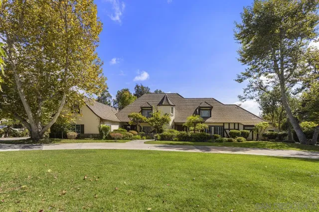 a view of a garden with large trees