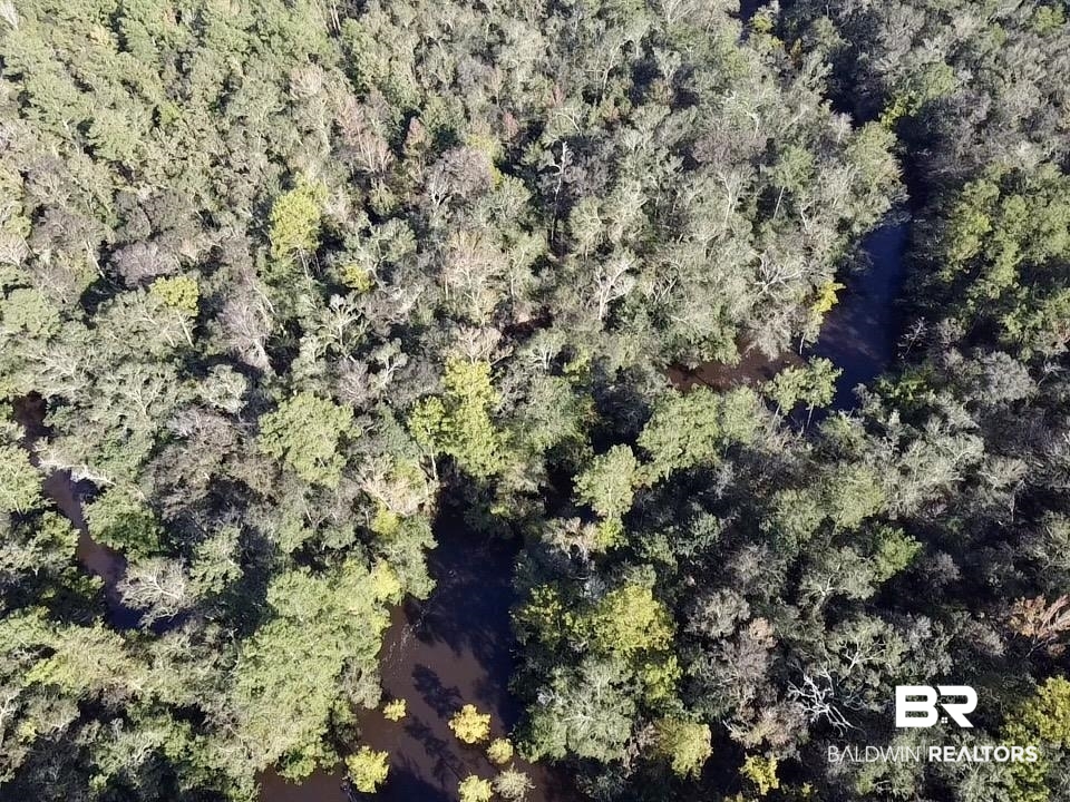 0 Country Road Vinegar Bend, AL 36584 - Photo 41 of 46