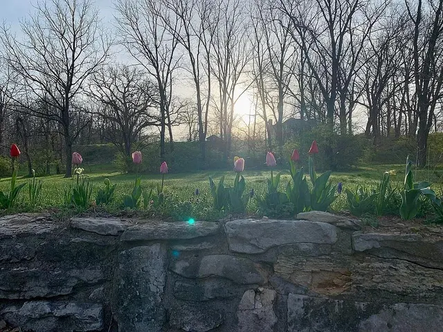 $599,000 | 675 East County Road 1180, Sutter, IL 62379