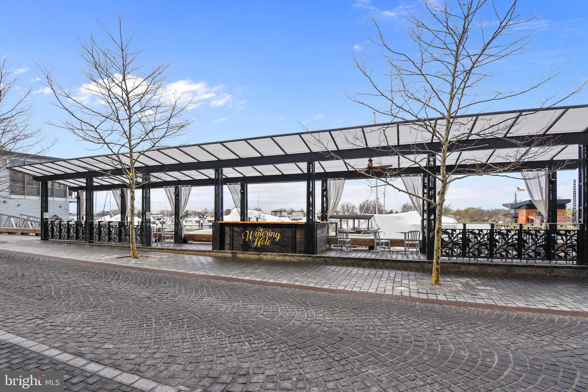 1250 4th Street Southwest, Unit W409 Washington, DC 20024 - Photo 39 of 59 Community