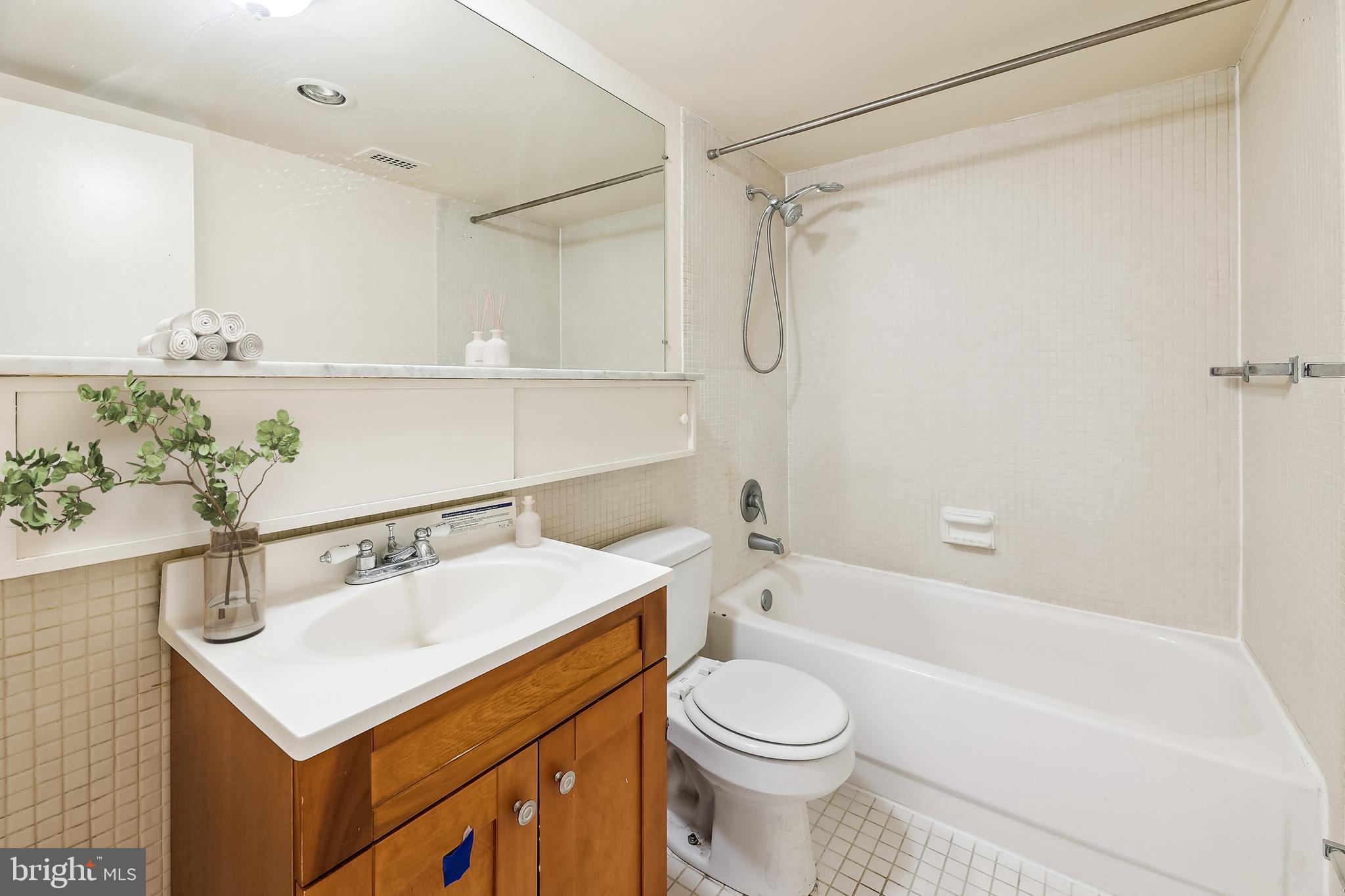 1250 4th Street Southwest, Unit W409 Washington, DC 20024 - Photo 5 of 59 Bathroom