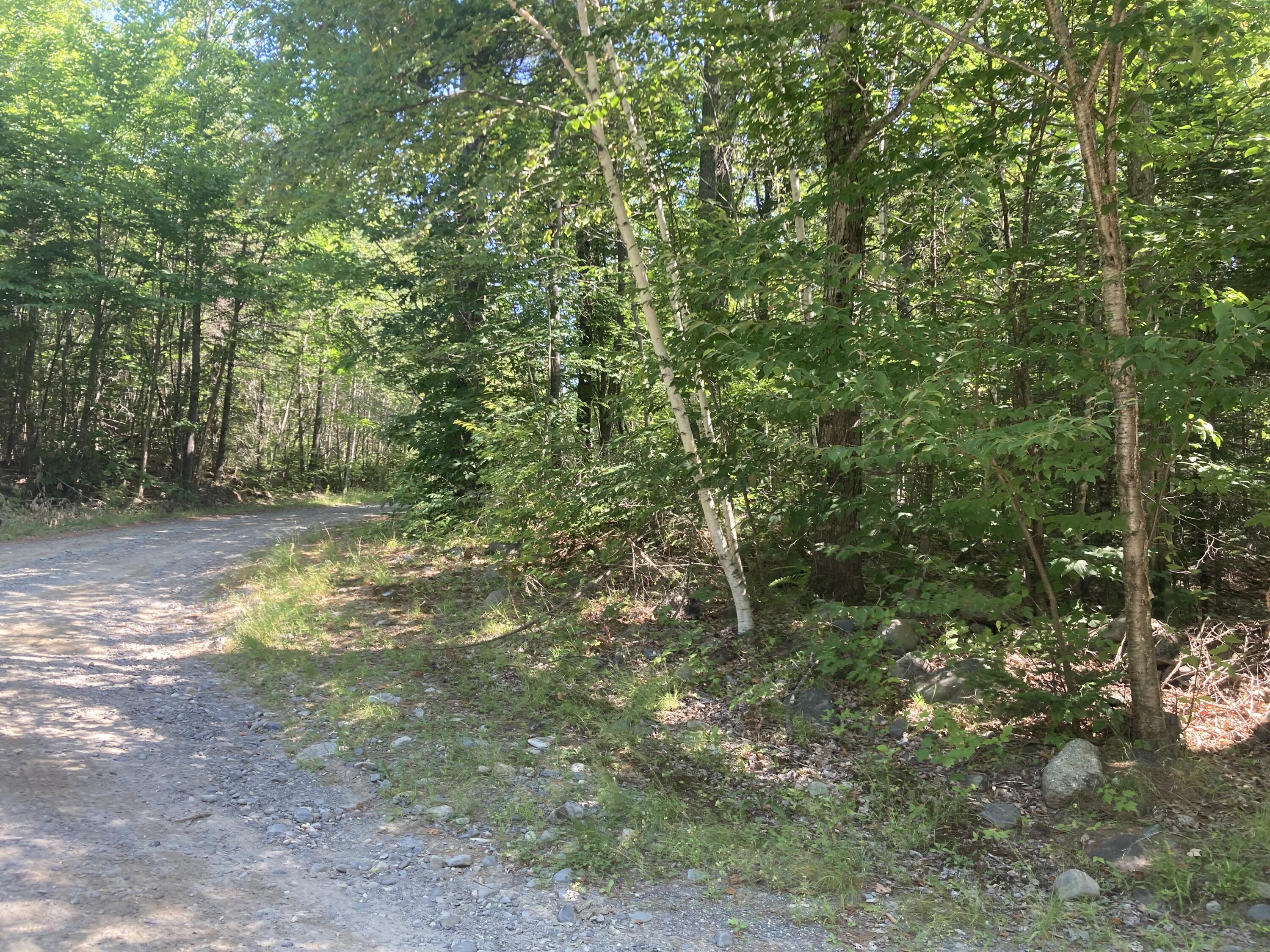 Lot 18-4 Ramsdell Ridge Road Milo, ME 04463 - Photo 6 of 7 IMG-0967