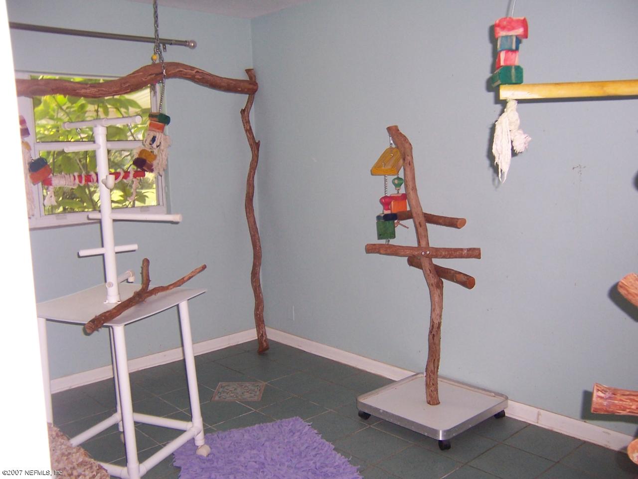 4077 Marianna Road Jacksonville, FL 32217 - Photo 10 of 14 current bird room