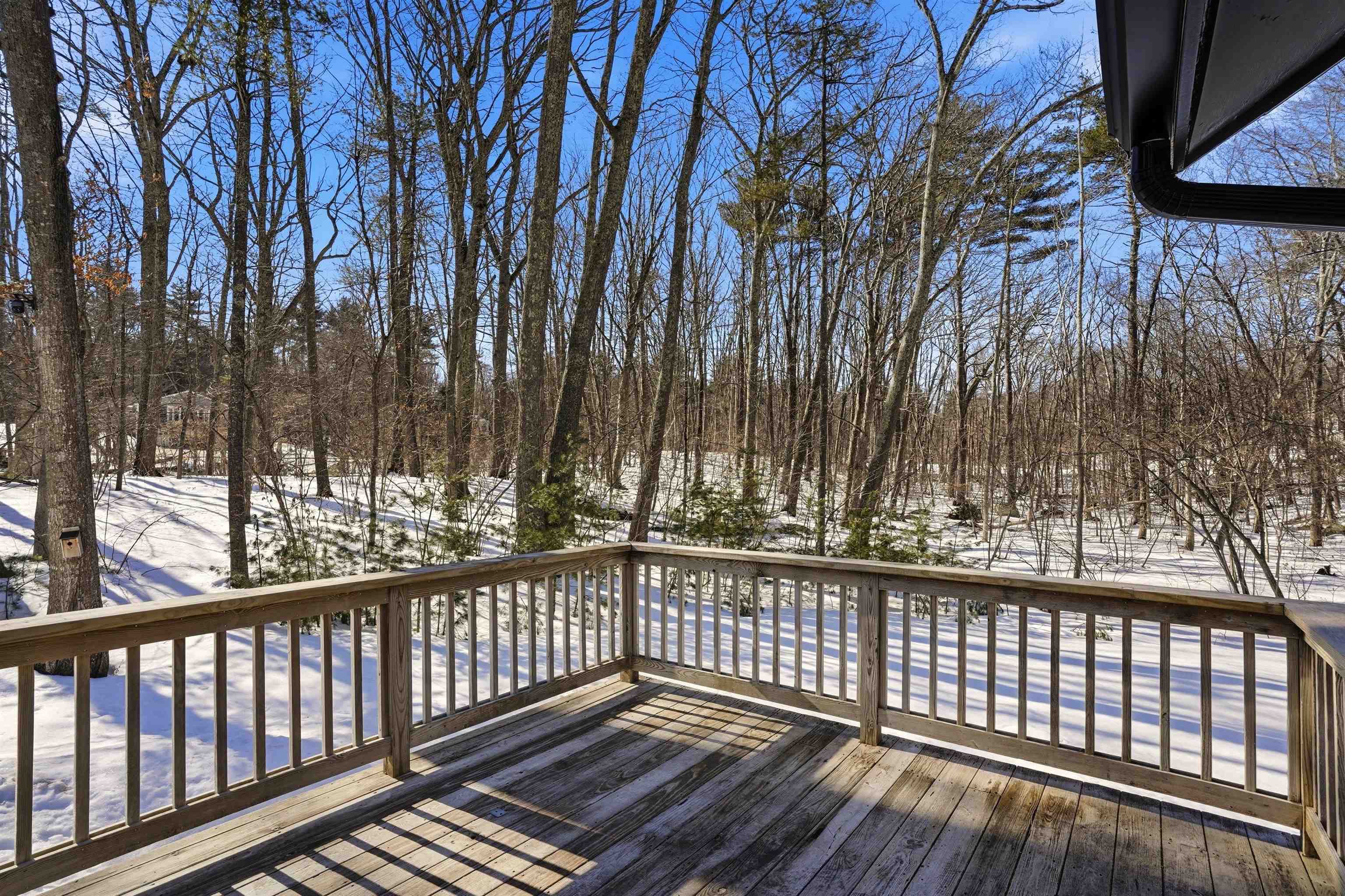 50 Cobbetts Pond Road Windham, NH 03087 - Photo 33 of 50