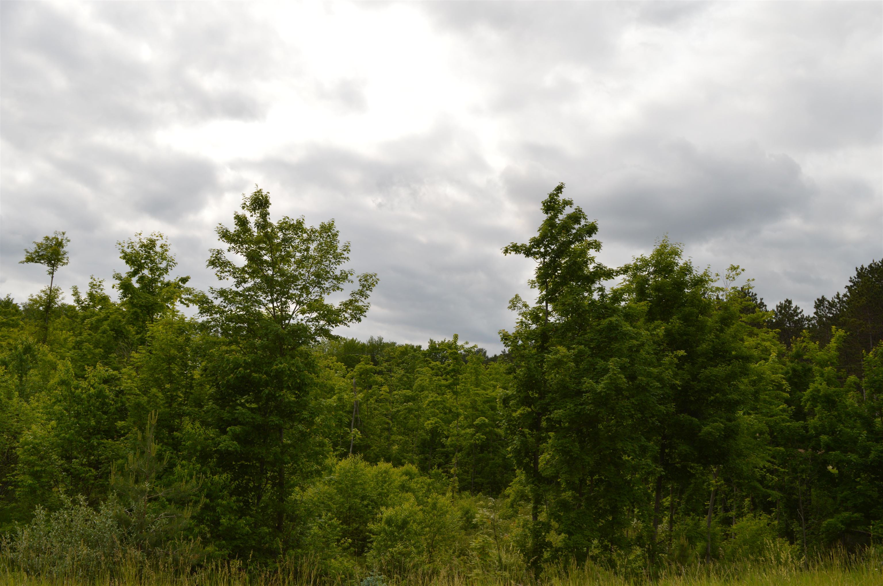 M Summit City Road, Unit LOT: M Kingsley, MI 49649 - Photo 11 of 20