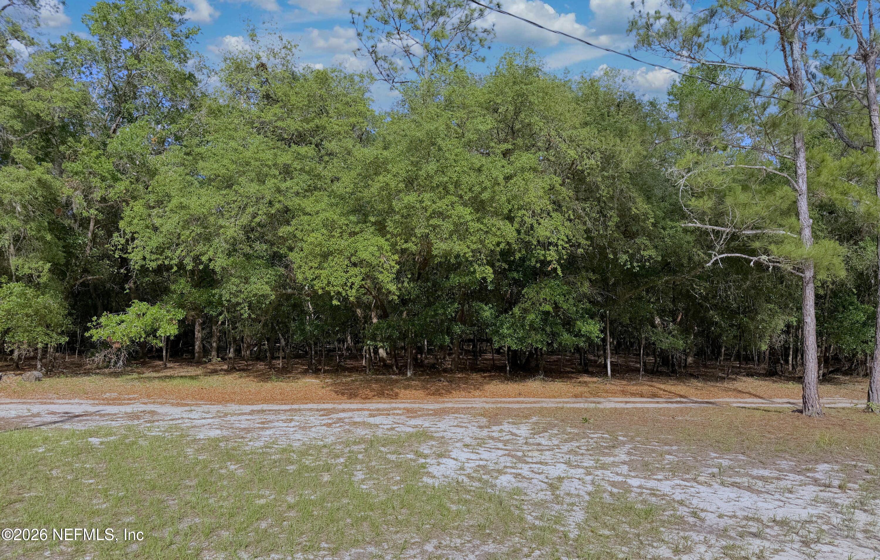 136 Short Pine Road Hawthorne, FL 32640 - Photo 10 of 39 a view of outdoor space with a swimming pool
