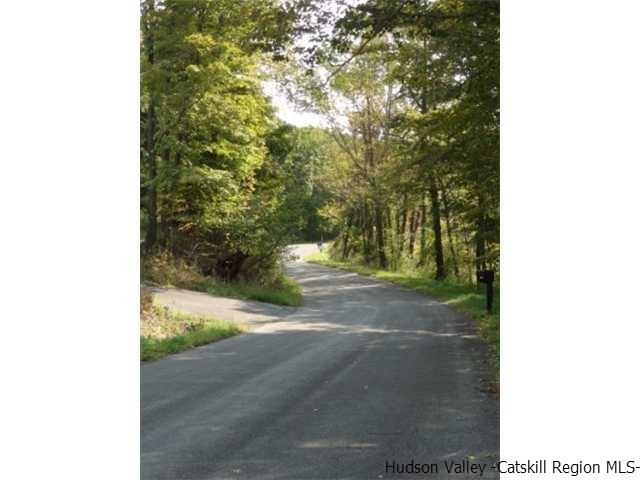 381 Oak Ridge Road Ellenville, NY 12428 - Photo 5 of 6 a view of a yard with a tree