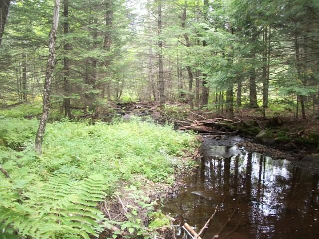 Lot P/o Railroad Bed Road Buckfield, ME 04220 - Photo 3 of 8 Photo