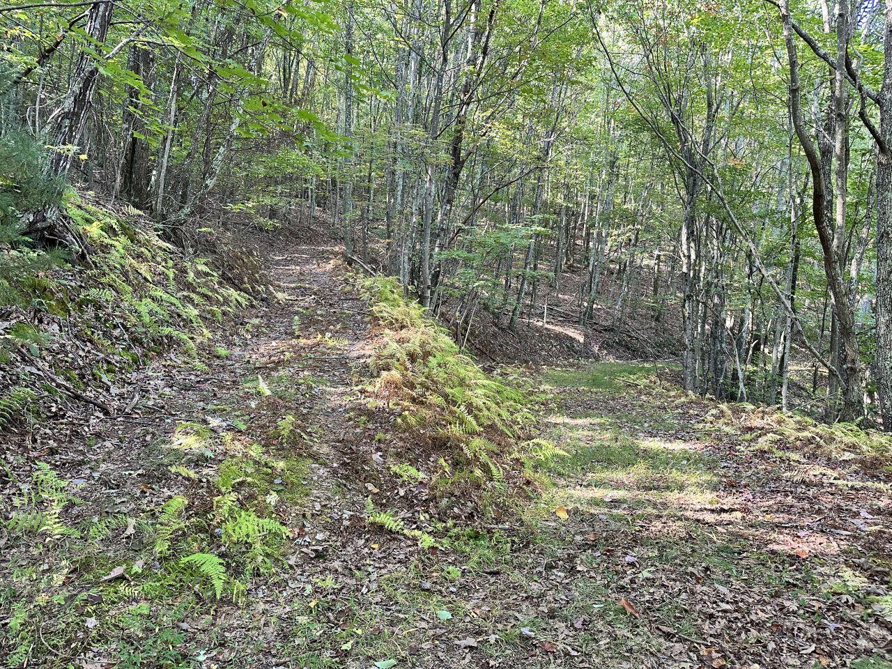0 Moncove Lake Road Union, WV 24983 - Photo 5 of 9 IMG_4565