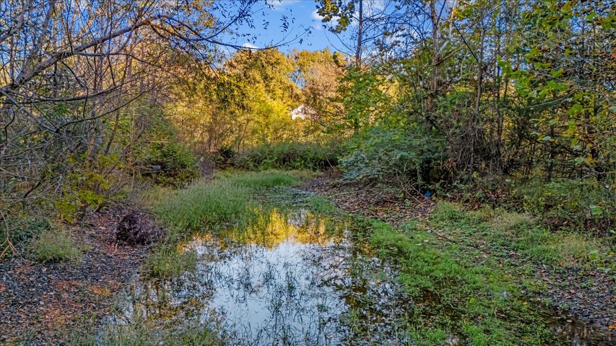 676 Mt Lebanon Road Dickson, TN 37055 - Photo 42 of 74