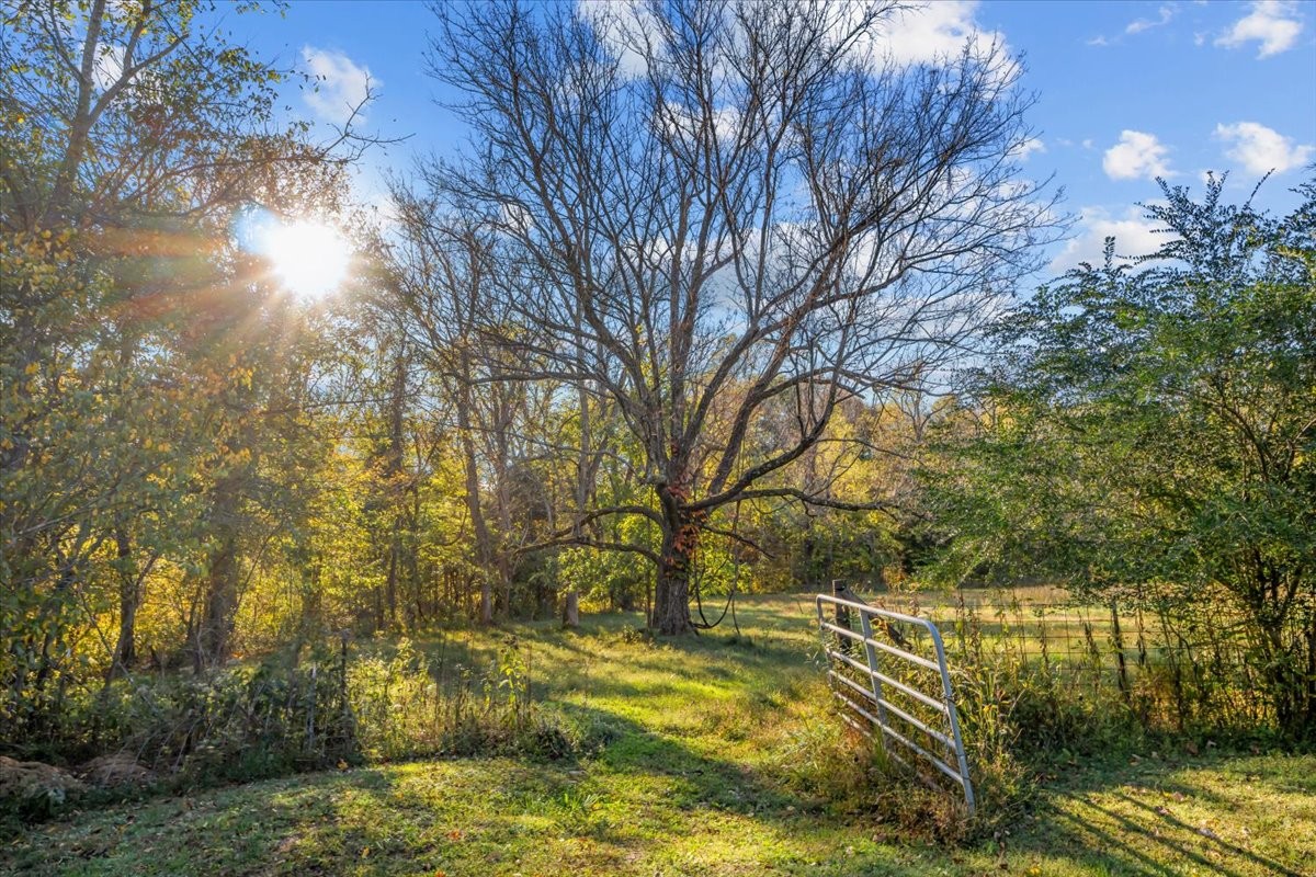 676 Mt Lebanon Road Dickson, TN 37055 - Photo 43 of 74