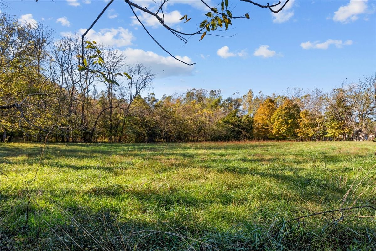 676 Mt Lebanon Road Dickson, TN 37055 - Photo 45 of 74 a view of a yard