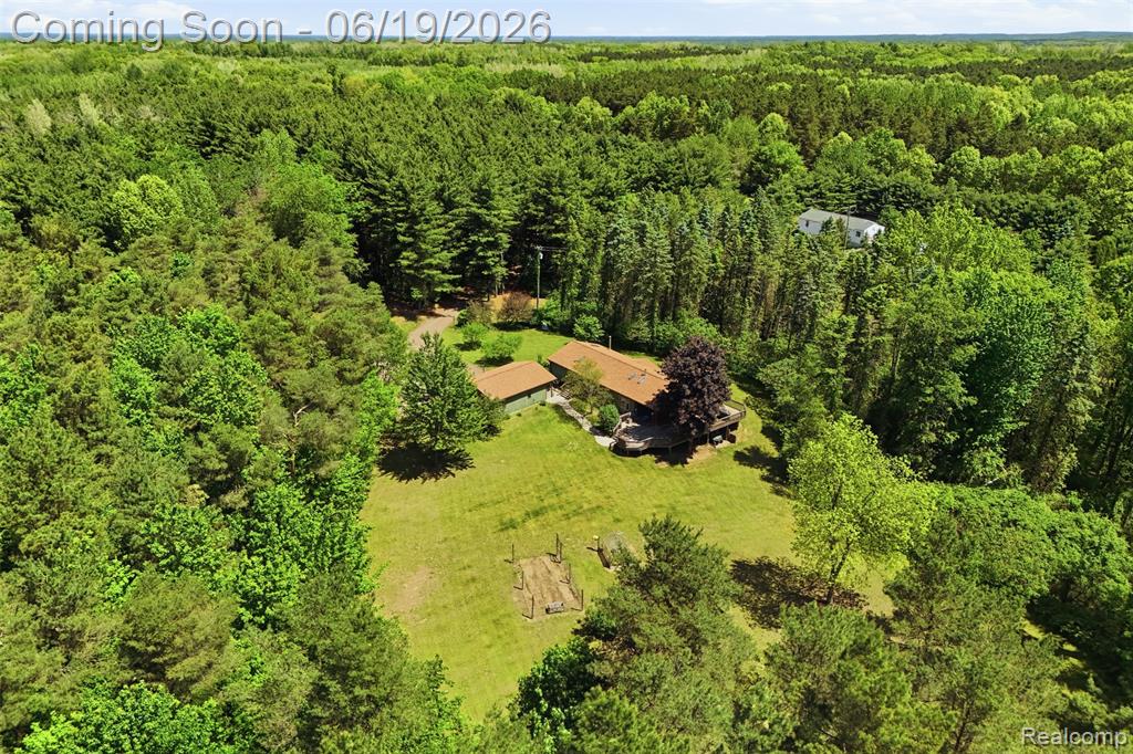 3167 Roods Lake Road Lapeer, MI 48446 - Photo 35 of 38