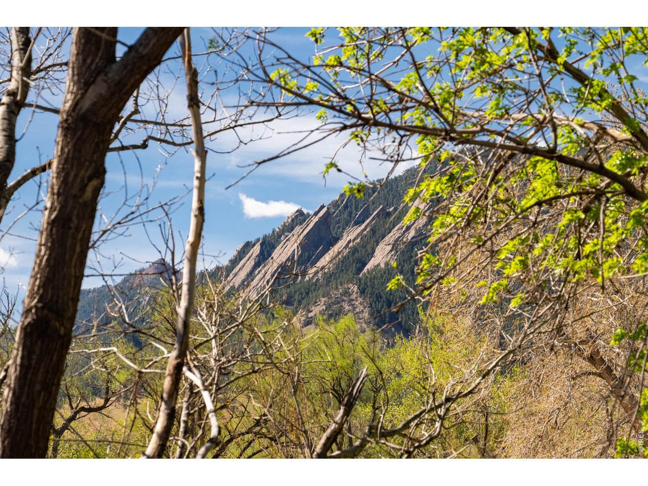 812 Walnut Street, Unit F Boulder, CO 80302 - Photo 42 of 45 Flatiron Views