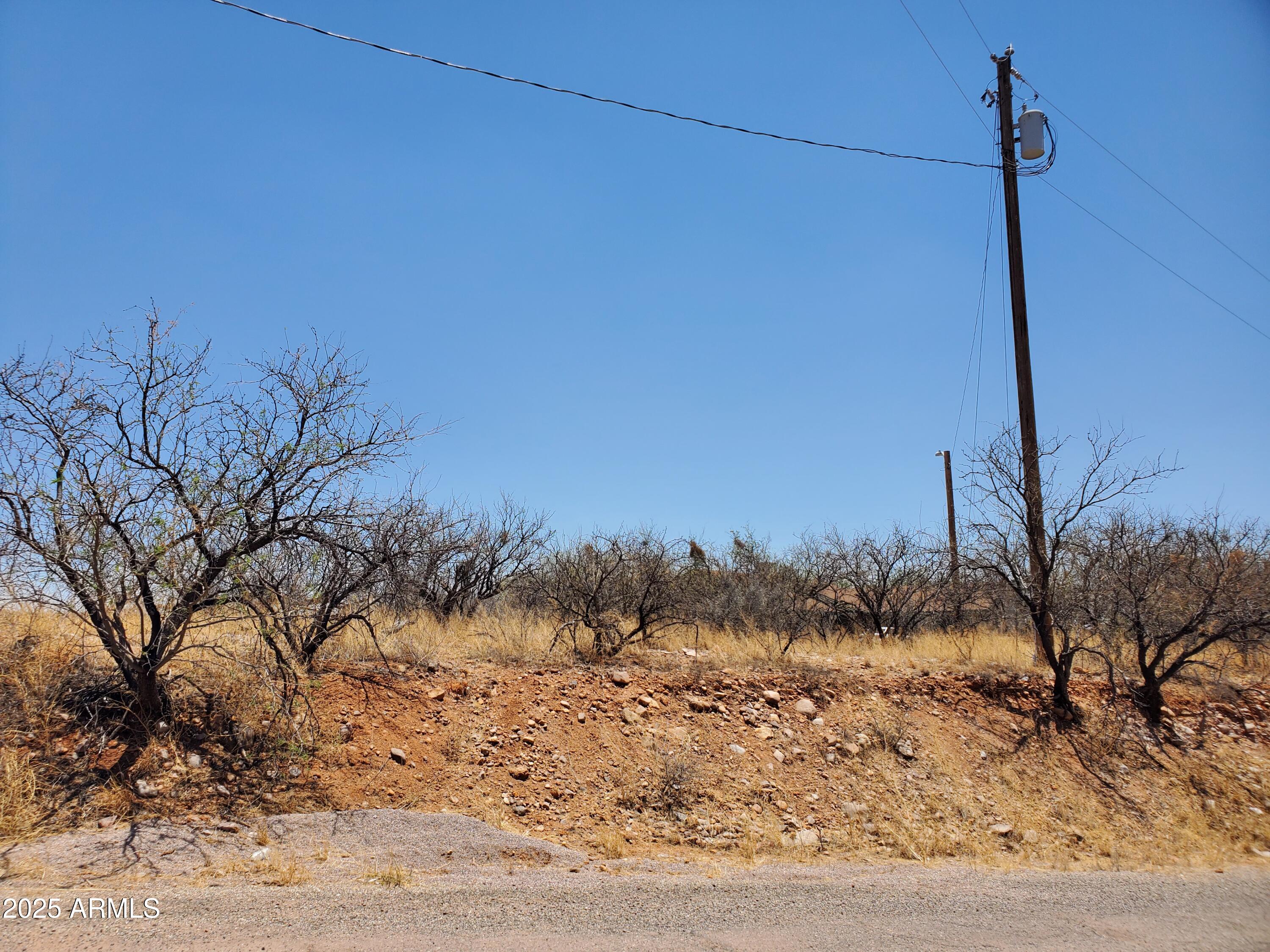 1196 Ines Court, Unit 28 Rio Rico, AZ 85648 - Photo 1 of 10 a view of a dry yard with trees