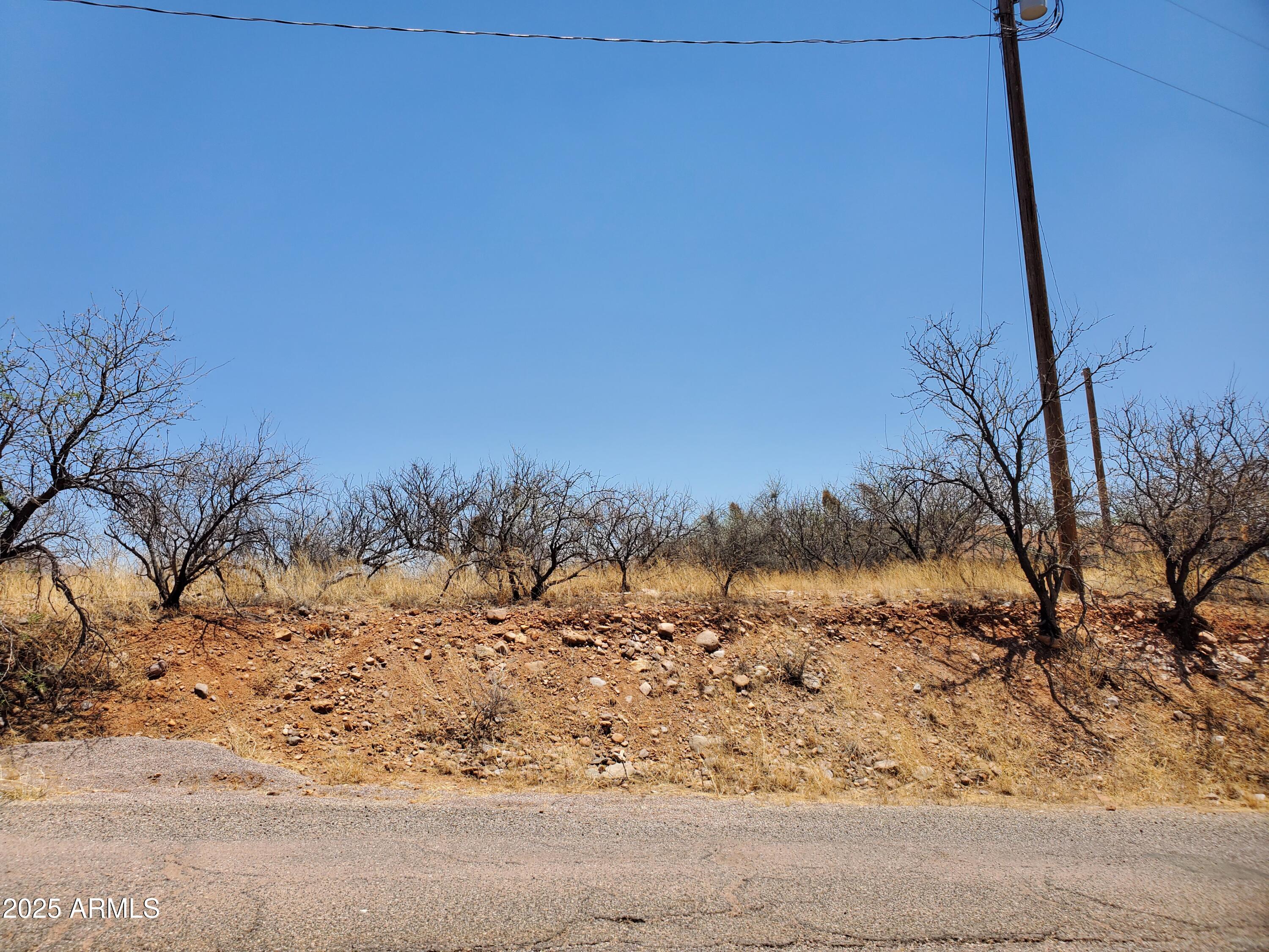 1196 Ines Court, Unit 28 Rio Rico, AZ 85648 - Photo 2 of 10 a view of a dry yard