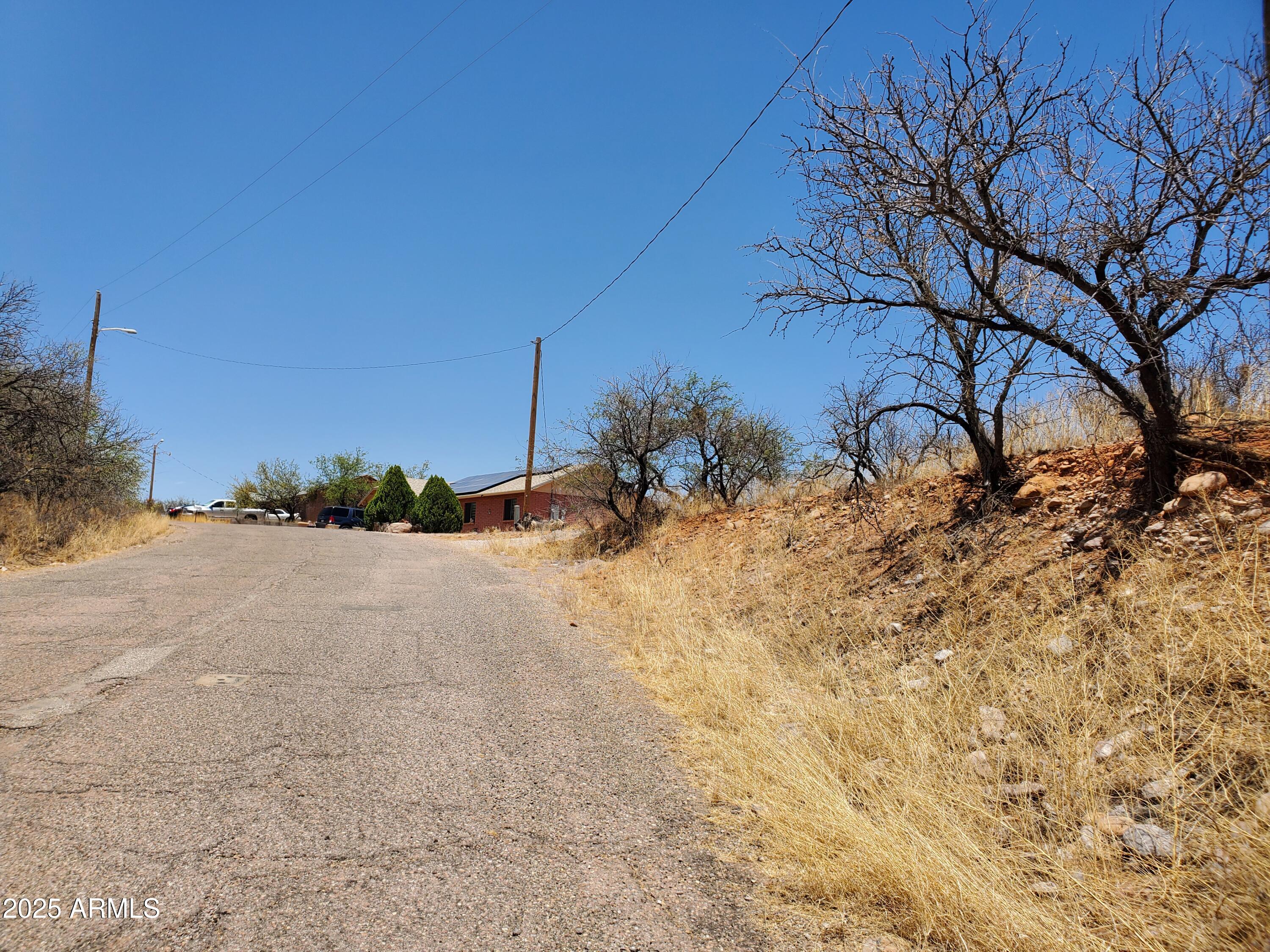 1196 Ines Court, Unit 28 Rio Rico, AZ 85648 - Photo 5 of 10 a view of a dry yard with trees