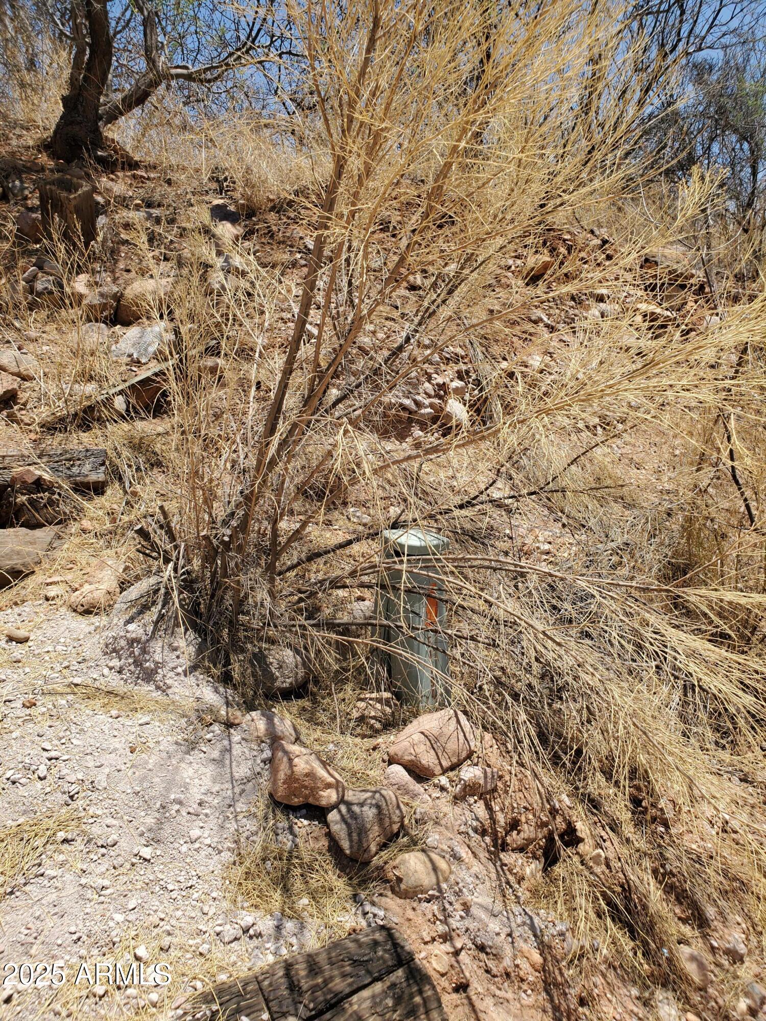 1196 Ines Court, Unit 28 Rio Rico, AZ 85648 - Photo 9 of 10 a view of a yard