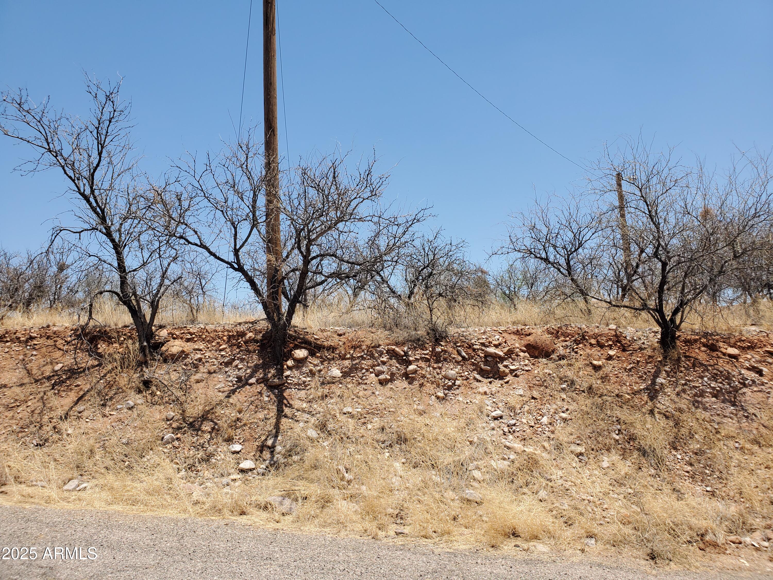 1196 Ines Court, Unit 28 Rio Rico, AZ 85648 - Photo 10 of 10 a view of a yard covered with snow