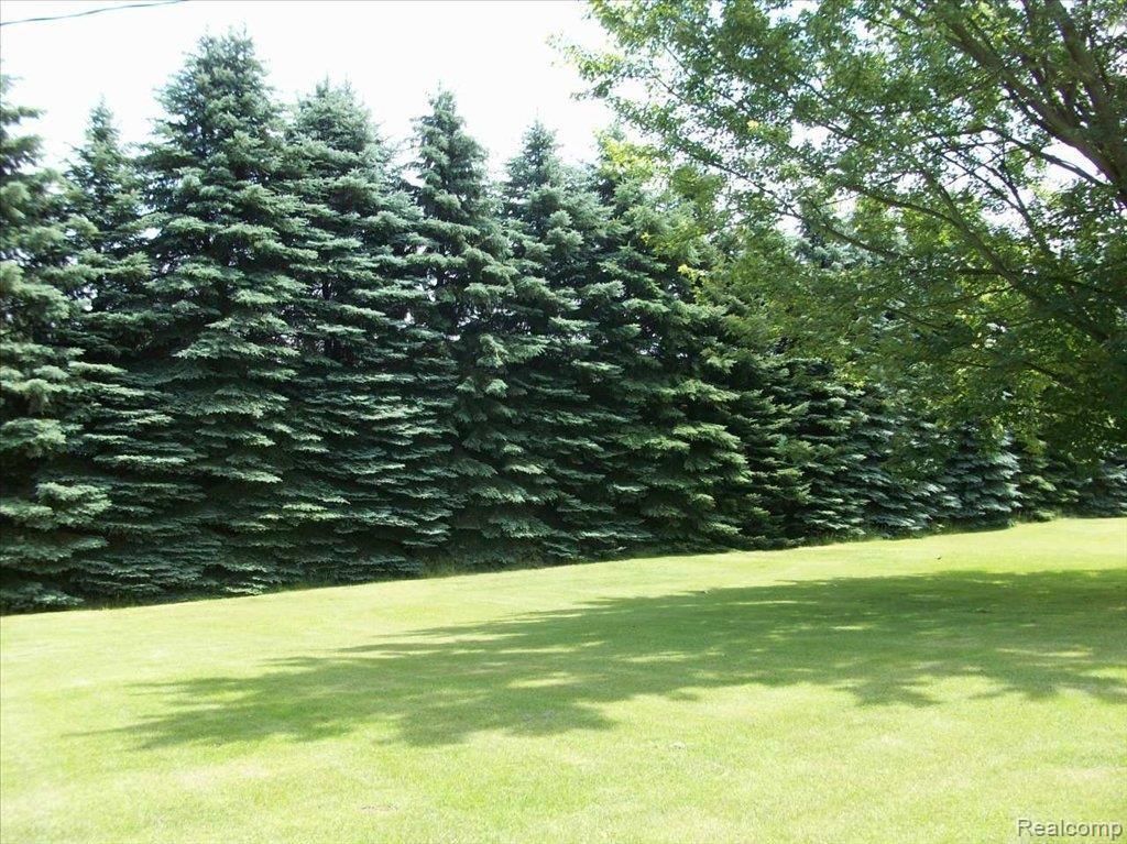 17457 Cavanaugh Lake Road Chelsea, MI 48118 - Photo 3 of 12 side yard